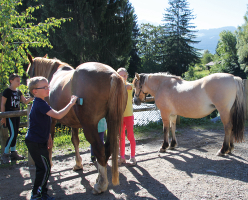 colonie de vacances séjour enfant combloux au pays du mont blanc 8-12-ans OUL