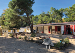 Colonie de vacances, séjours classes de découvertes, St Jean de Monts