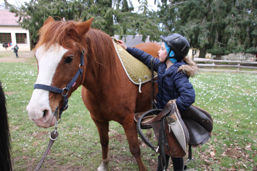 Classe de découvertes, centre vacances, classe de campagne, équitation 4