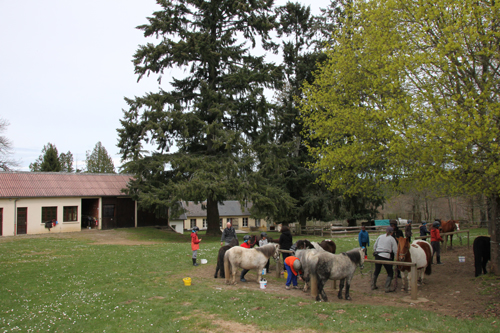 Classe de découvertes, centre vacances, classe de campagne, équitation 5