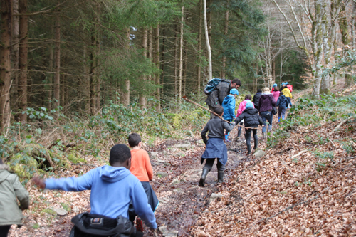 Classe de découvertes, centre vacances, classe de campagne, la forêt 2