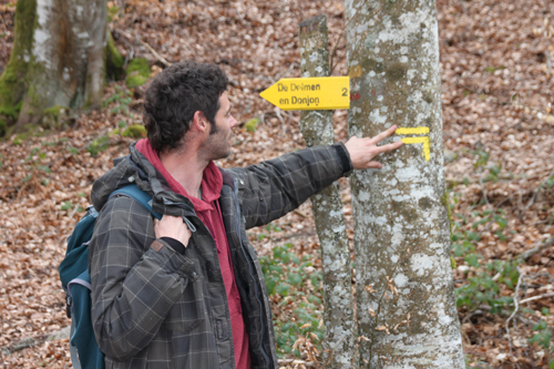 Classe de découvertes, centre vacances, classe de campagne, la forêt 3