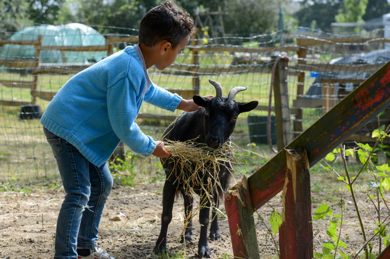 Vacances, colonie, séjours, hiver, nature, Ingrannes, oul, les animaux