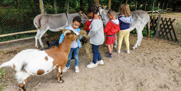 Nature et découvertes