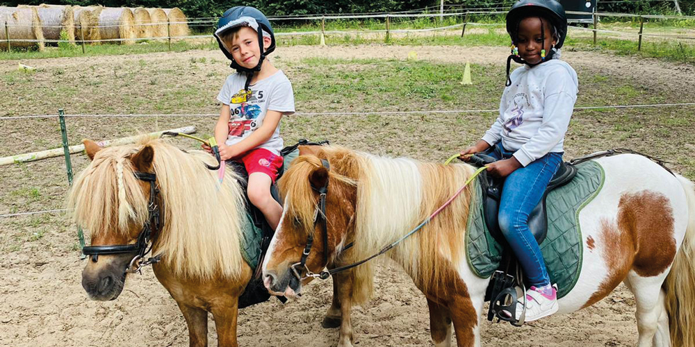 Multi-activités Vendée